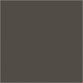 Taupe swatch